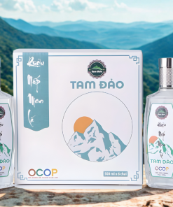 Rượu nếp men lá